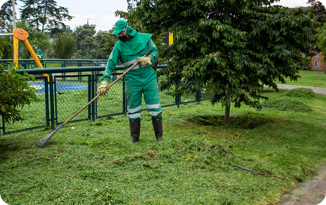 Colaborador de Ciudad Limpia realizando labores de mantenimiento de zonas verdes con una herramienta de jardinería manual, distribuyendo o recogiendo césped cortado alrededor de un árbol en un parque urbano. Viste uniforme verde reflectivo, guantes, botas y mascarilla, y al fondo se observan senderos, cerramiento y juegos infantiles.